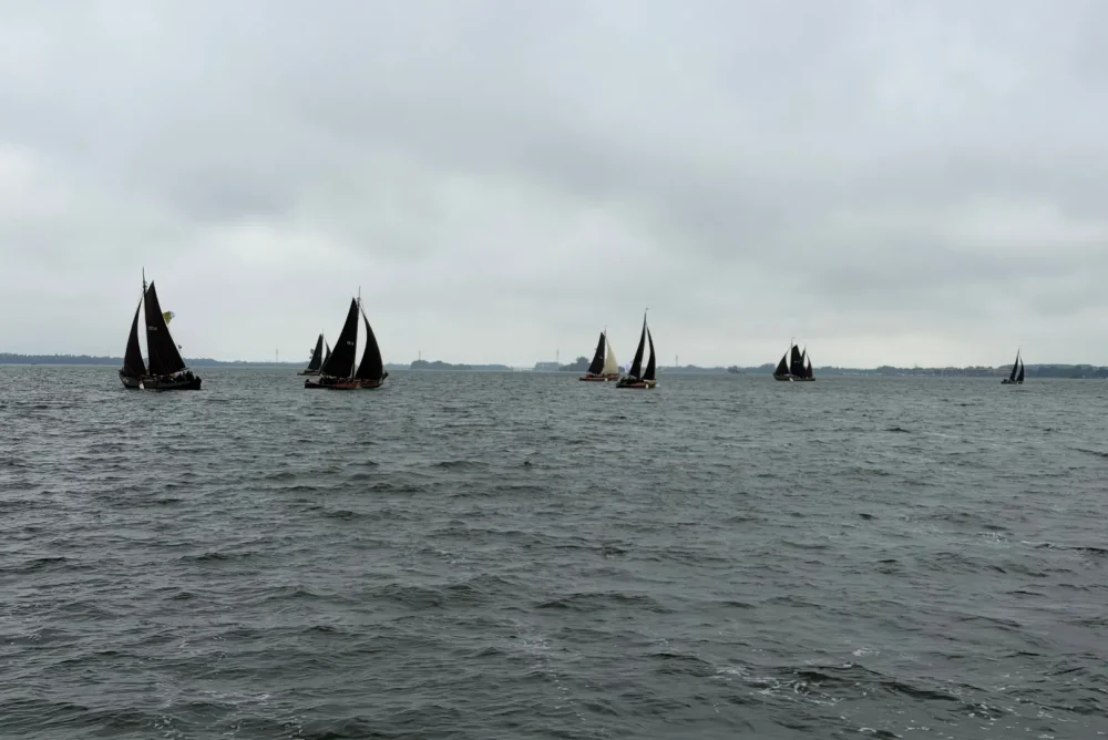 Team Q-Estate tijdens de Botterdagen Elburg 2026
