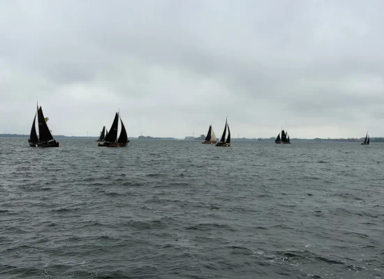 Team Q-Estate tijdens de Botterdagen Elburg 2026