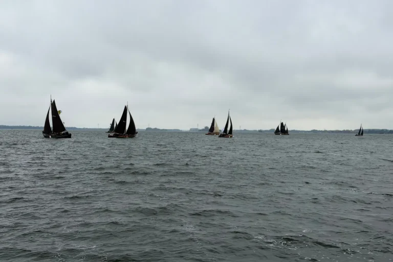 Team Q-Estate tijdens de Botterdagen Elburg 2026